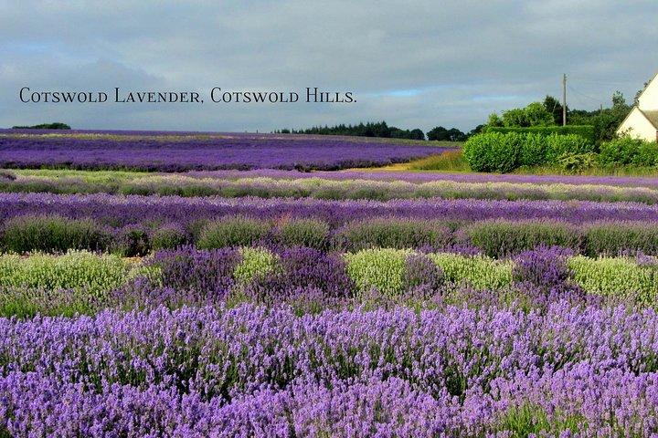 Private Day Tour from London - Stonehenge and Bath