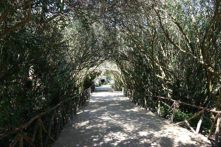 Ancient Syracuse: private guided tour of the Neapolis archaeological park