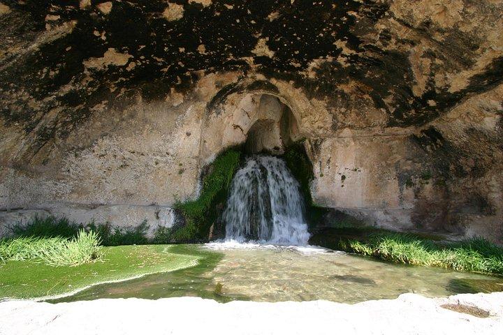 Ancient Syracuse: private guided tour of the Neapolis archaeological park