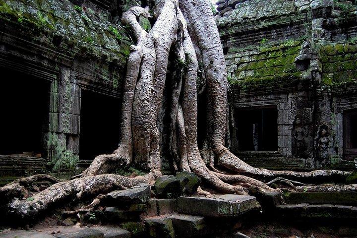 Two-days tour discovering Angkor Wat,The carving of 1000 Lingas and Beng Mealea