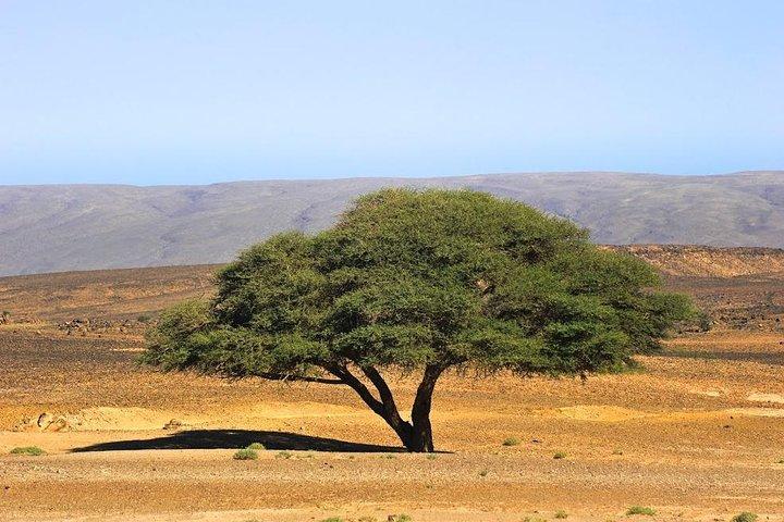 3 Days From Marrakech To Erg Chigaga