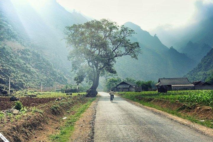 Private Transfer Between Lao Cai Train Station and Sapa Town