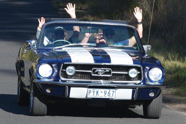Six-Bridges-of-Sydney-Vintage-Car-Ride-Experience