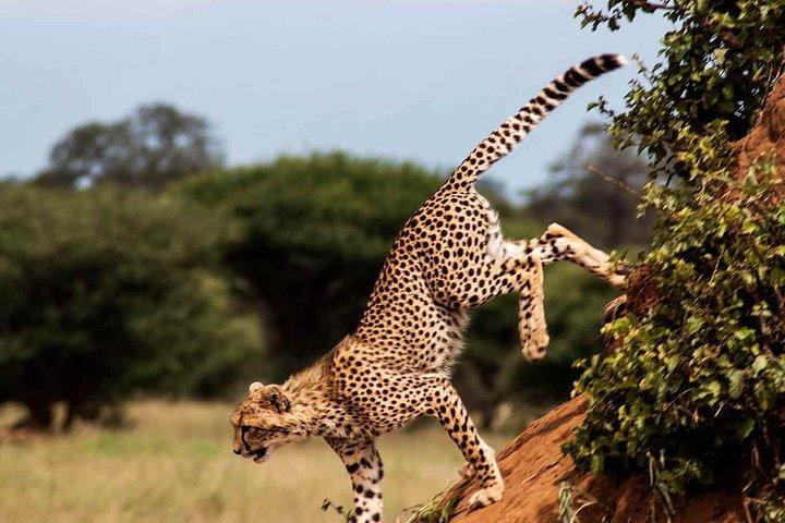 10 Days / 9 Nights Join group safari