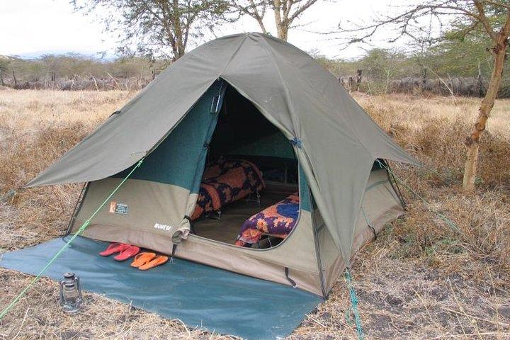 2 Days Camping Safari, Lake Manyara & Ngorongoro Crater
