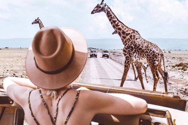 Tarangire and Ngorongoro 2 days Budget camping Safari