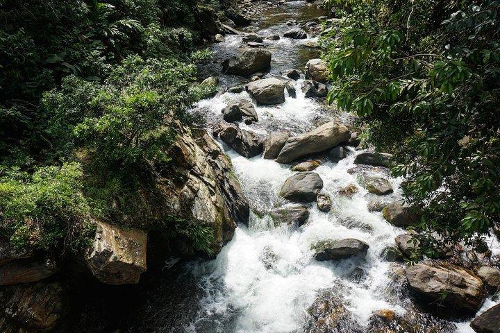 Hike for 4 days to the Lost City, Santa Marta