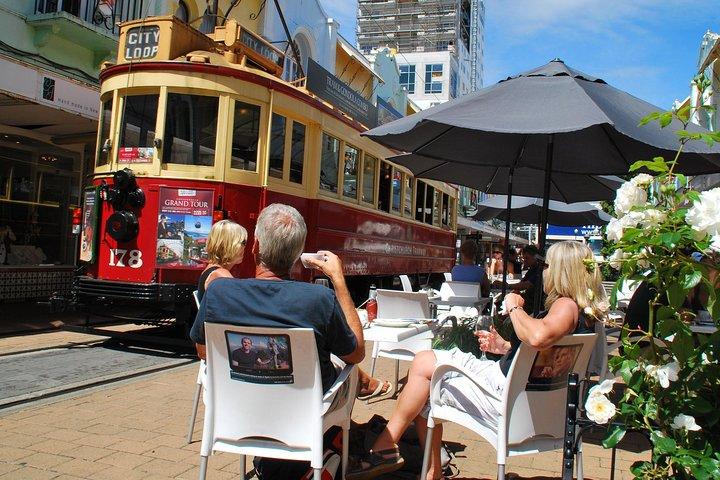 Akaroa Shore Excursion: Banks Peninsula and Christchurch City Sights Tour