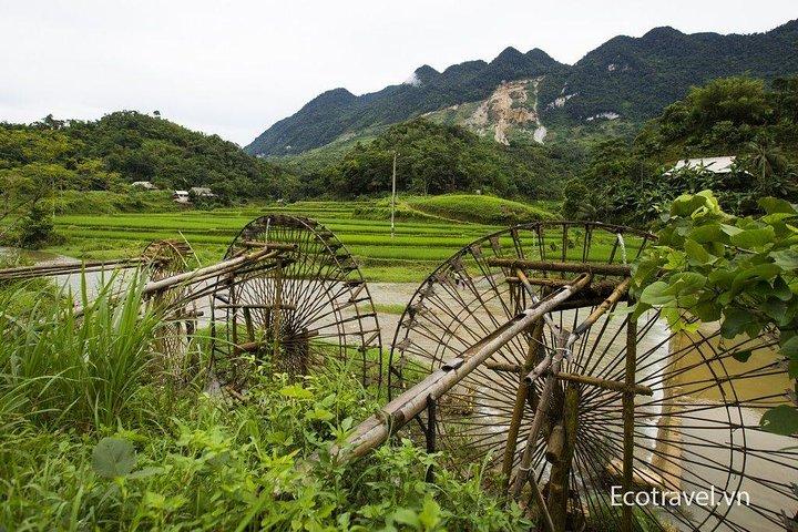 Explore Mai Chau - Pu Luong - Ninh Binh 4 Days / 3 Nights