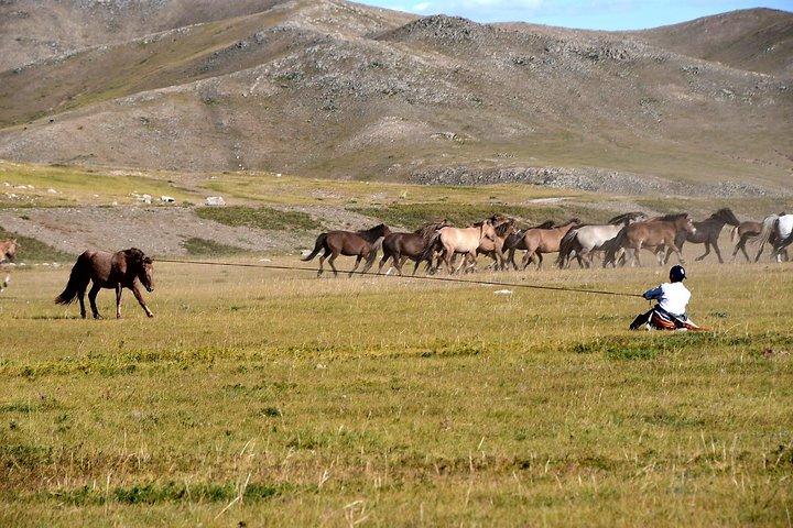 Day Trip to Terelj National Park & Giant Chinggis Khaan Statue