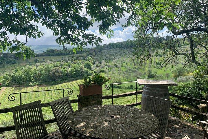 Chianti Vineyards Tours in Private Luxury Van from Florence