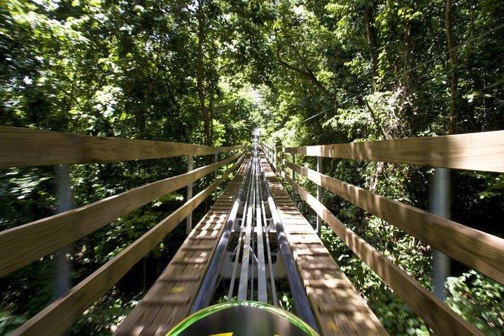 Jamaica Bobsled (Mystic Silver) Adventure Tour