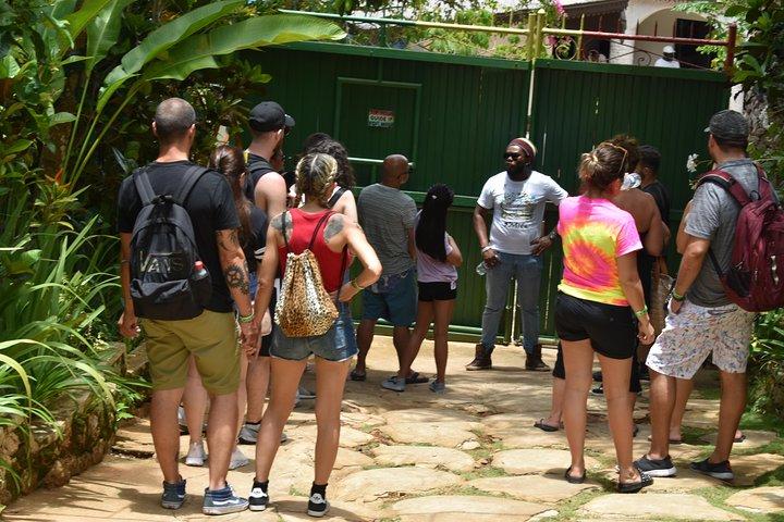Bob Marley's Nine Mile Admission and Guided Tour from Montego Bay