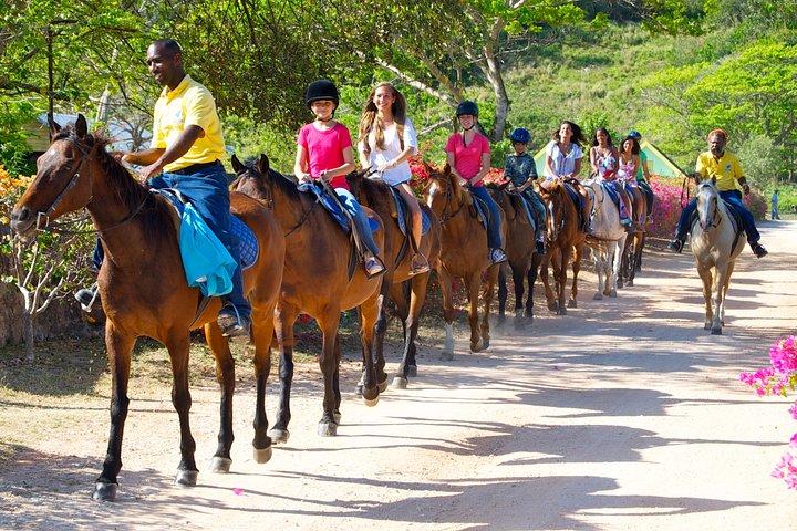 Jamaica Zipline and Horseback Ride n Swim Adventure Tour from Runaway Bay