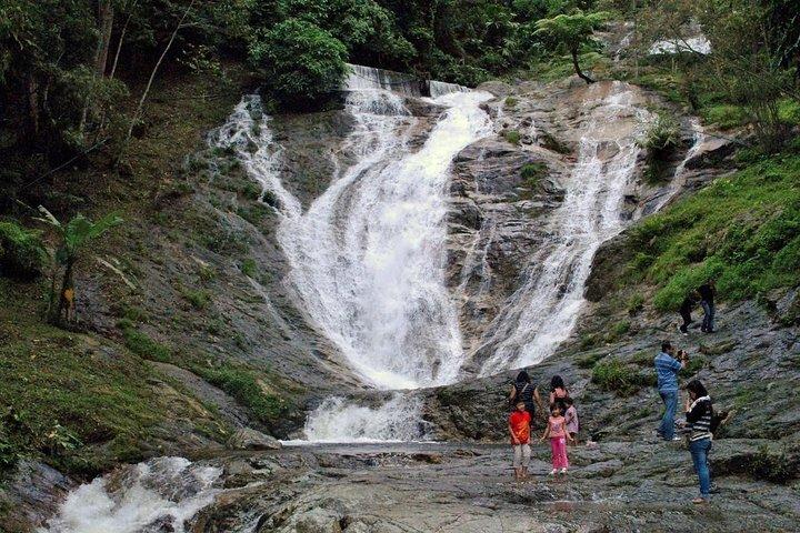 Cameron Highlands Tour on Private Basis