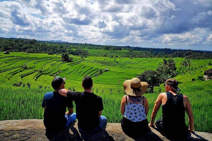 Tanah Lot - Jatiluwih (UNESCO) - Bedugul and Ulun Danu Temple Tour