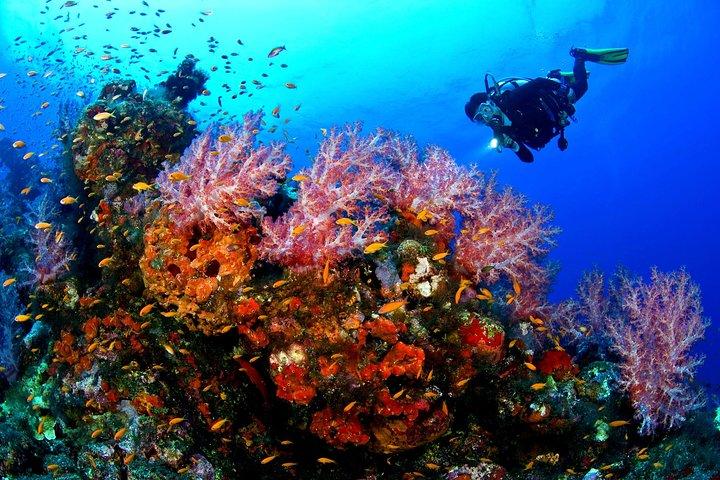 Best Egypt 15 Days Tour Luxury Nile Cruise & Red Sea Stay With Airfares & Hotels