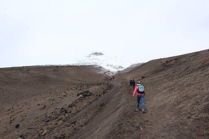 Full-Day Tour Cotopaxi National Park - All included from Quito