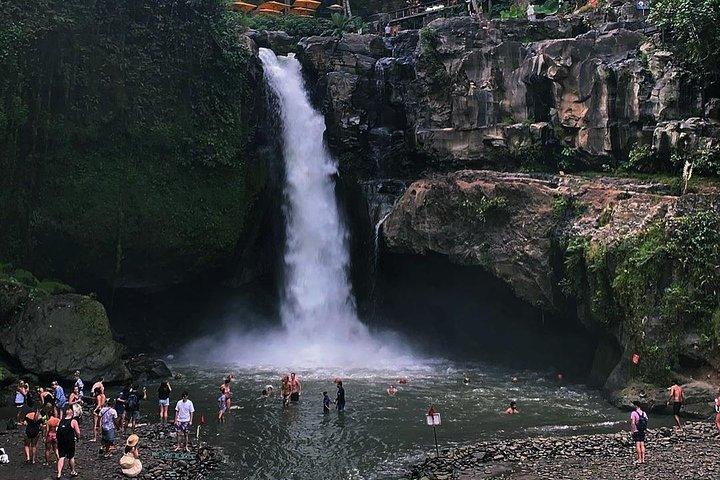 Jungle Swing - Volcano - Water Temple - Monkey Forest and Waterfall Tour