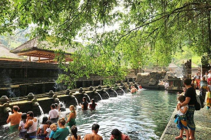 Jungle Swing - Volcano - Water Temple - Monkey Forest and Waterfall Tour