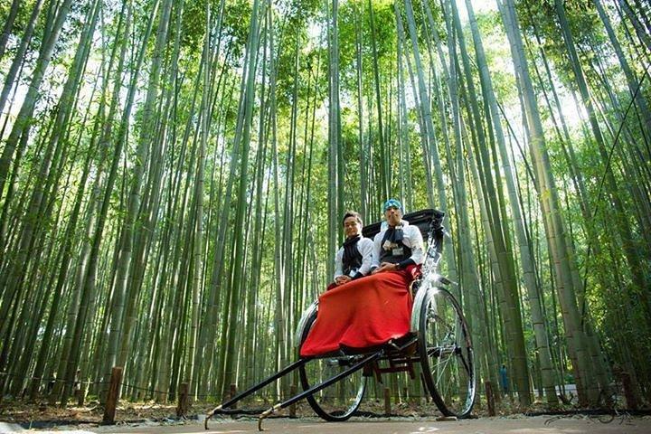 Kyoto Arashiyama Rickshaw Tour with Bamboo Forest