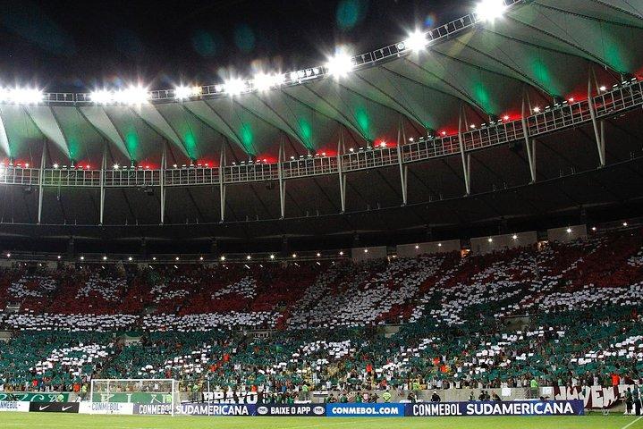 Soccer game in Rio de Janeiro with Local Supporter