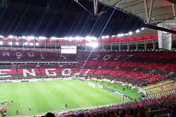 Soccer game in Rio de Janeiro with Local Supporter