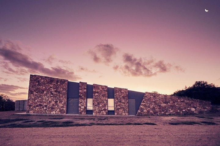 Guided Tour of the Winery Viña Edén
