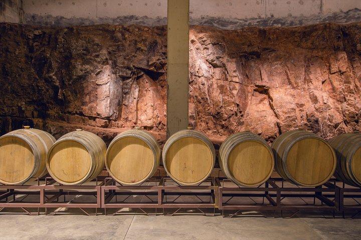 Guided Tour of the Winery Viña Edén
