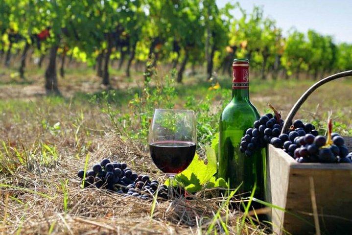 Khor Virap, Noravank & Areni Wine Tour from Yerevan