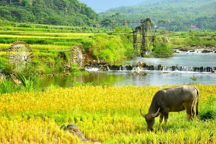 Private transfers Hanoi Puluong 1 Way (Free Hotel Pickup)