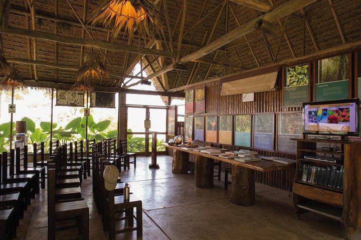 3-Day Tambopata Amazon Jungle Tour at Inkaterra Reserva Amazónica