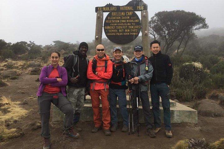 7 days Lemosho route