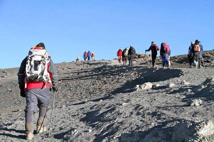 Kilimanjaro Rongai Route 5 Days Trekking
