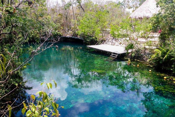 Private transfer for 5 hours (go dinner,cenotes, shopping and more)
