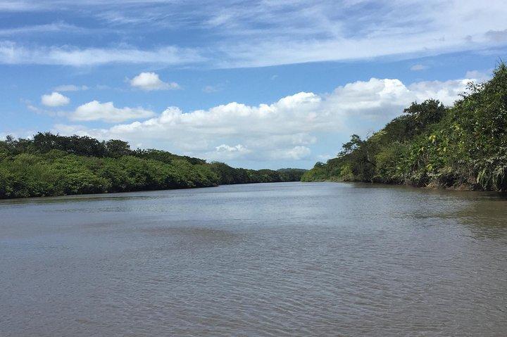 Costa Rican Wildlife Palo Verde National Park river safari cruise