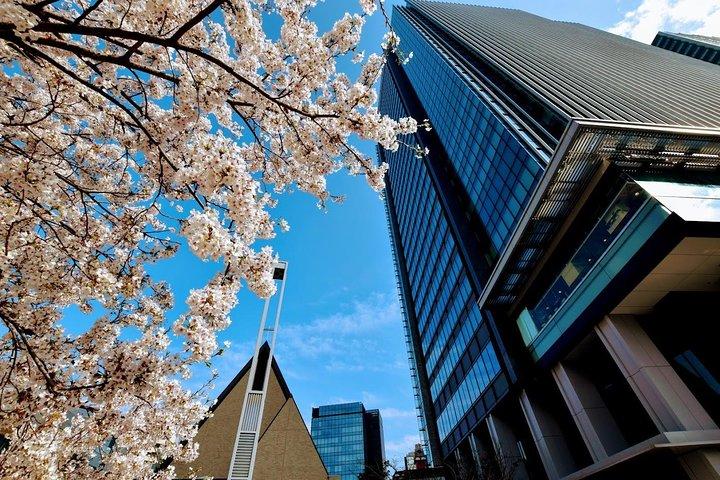Essential tour for fashion and art in Tokyo for 6 hours with local lunch