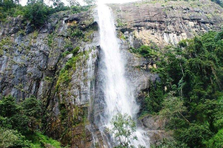 TukTuk Safari in Tea & Spice plantation,View Points,Upper Diyaluma WaterFalls,