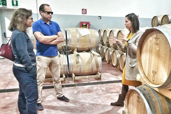 Discover the best cellars of Salento