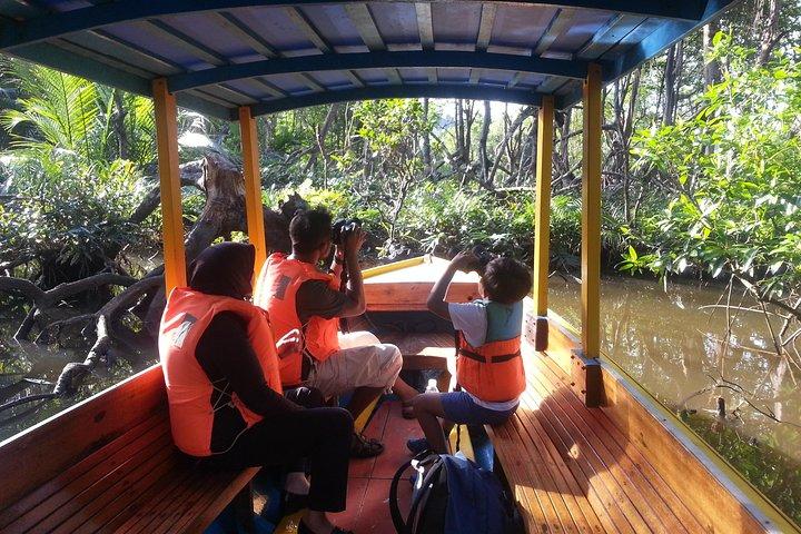 Proboscis Monkey Tour (Private)