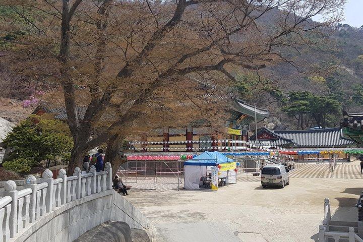 Private Trip to Seongmo Island(Temple) and North Korea Observatory+Kimchi Lesson