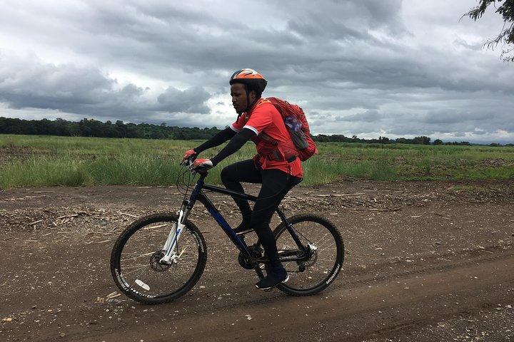 Cycling through the TPC plantations