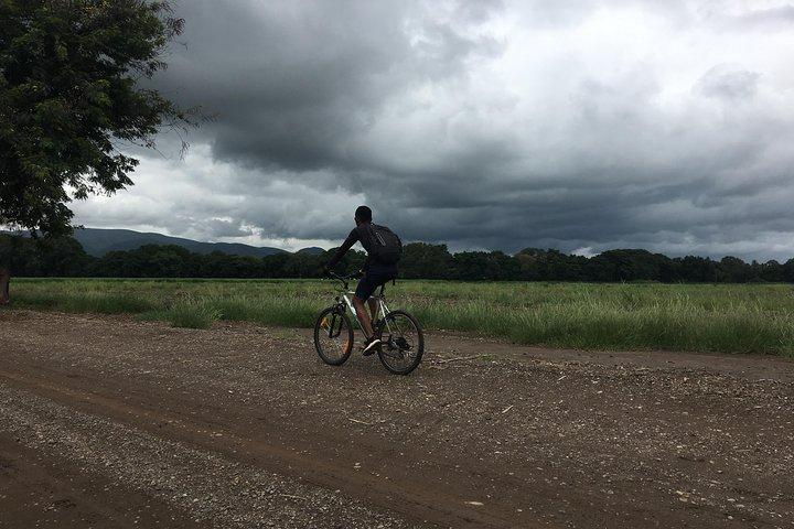 Cycling through the TPC plantations