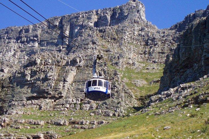 Table Mountain-Wines-Penguins-Cape Point All Inclusive Group Tour