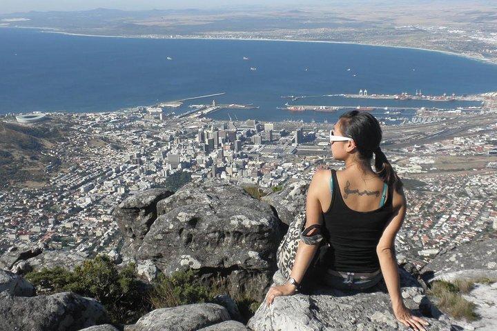 Table Mountain-Wines-Penguins-Cape Point All Inclusive Group Tour