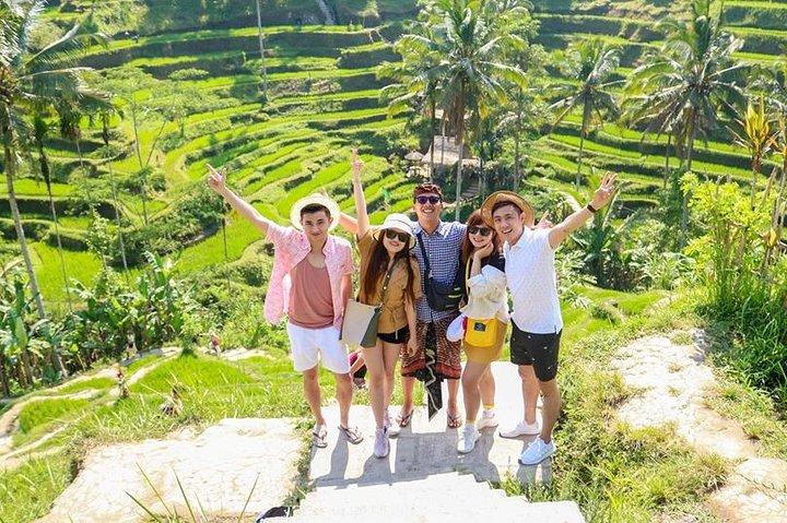 Ubud Tour - Monkey Forest, Temple, Waterfall, and Rice Terrace