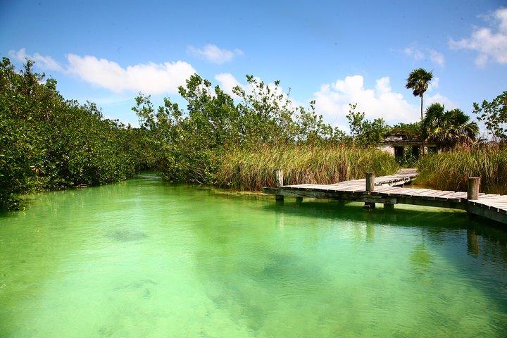 Muyil Archaeological Site & Sian Ka'an Guided Tour from Tulum