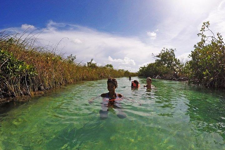 Muyil Archaeological Site & Sian Ka'an Guided Tour from Tulum