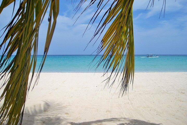 Negril Beach & Ricks Cafe from Montego Bay