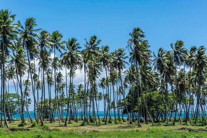 Private Tahiti Circle Island - Waterfalls, Black Sand & Views